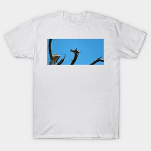 Osprey And Blue Sky T-Shirt